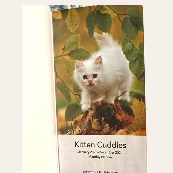 Mini Planner “Kittens” View the whole month at a time. 2 Full Years! - Picture 2 of 15